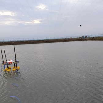 Water image